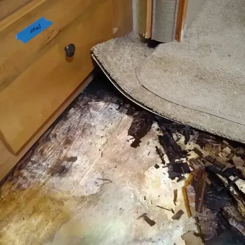 Wood Floor Water Damage in Panhandle, TX